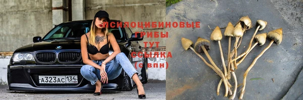 мяу мяу кристалл Зеленокумск