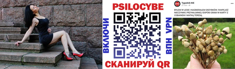 Купить где  Карасук  Галлюциногенные грибы GOLDEN TEACHER 